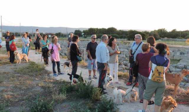 ''Insieme ovunque'': a Bari padroni che portano i cani al museo, ai concerti e a cinema